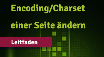 Grafik mit dem Text „Encoding/Charset einer Seite ändern“ und „Leitfaden“ auf grünem digitalem Hintergrund, der Anweisungen zur Anpassung des Zeichensatzes auf Webseiten bietet.