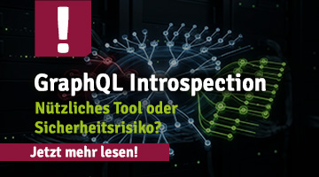 Teaser-Grafik zum Thema GraphQL Introspection mit Netzwerk-Visualisierung und Text über Nutzen, Tools und mögliche Sicherheitsrisiken.