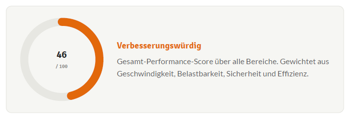 Screenshot vom Score aus dem Audit-Report
